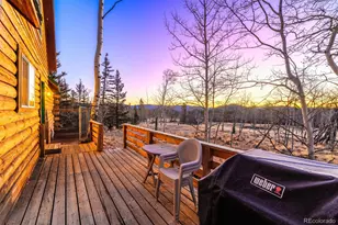 1026 Warpath Rd, Como, CO 80432 - Photo 43