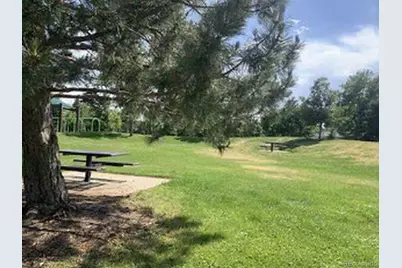 943 Jersey Street, Denver, CO 80220 - Photo 19