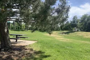 943 Jersey St, Denver, CO 80220 - Photo 19