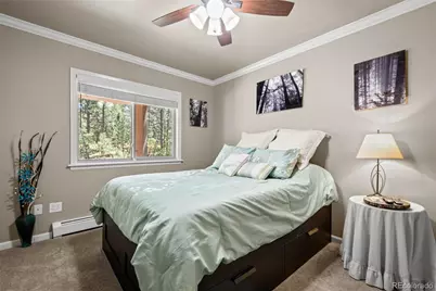 7524 Engineers Court, Larkspur, CO 80118 - Photo 35