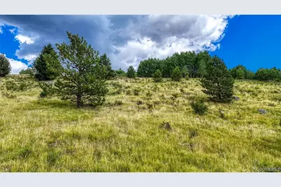 972 Anges Drive, Cripple Creek, CO 80813 - Photo 5