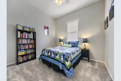 17014 Blue Indigo Lane, Parker, CO 80134 - Photo 15