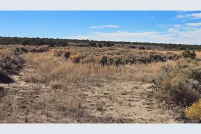 Lot 1768 Bateman Road, Fort Garland, CO 81133 - Photo 15