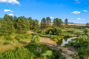 39848 Swift Creek Cir, Elizabeth, CO 80107 - Photo 49