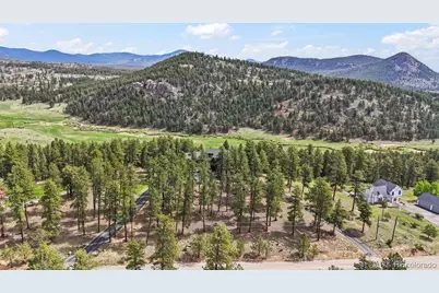 163 Old Corral Road, Bailey, CO 80421 - Photo 45