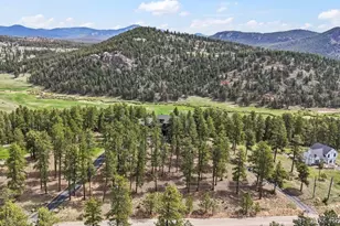 163 Old Corral Rd, Bailey, CO 80421 - Photo 45