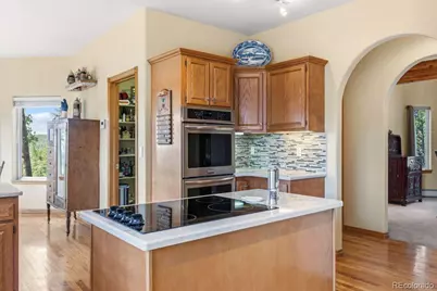 163 Old Corral Road, Bailey, CO 80421 - Photo 9