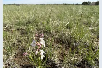 35501 Cheyenne Trail, Elizabeth, CO 80107 - Photo 7