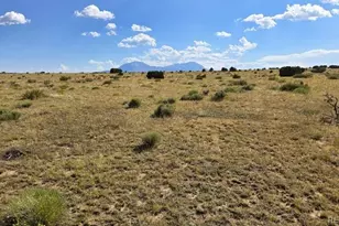 Lot 24 Rio Cucharas Phase 1, Walsenburg, CO 81089 - Photo 1