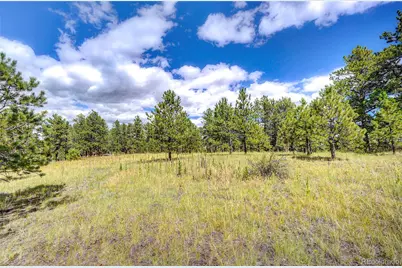 4501 Lakota Road, Indian Hills, CO 80454 - Photo 13