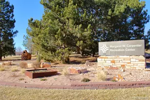 10371 Cook Way, Thornton, CO 80229 - Photo 29