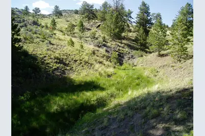 Tbd Post Road, Guffey, CO 80820 - Photo 5