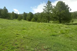 Tbd Post Rd, Guffey, CO 80820 - Photo 1