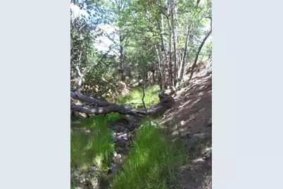 Tbd Post Road, Guffey, CO 80820 - Photo 3