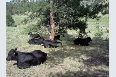 Tbd Post Road, Guffey, CO 80820 - Photo 21