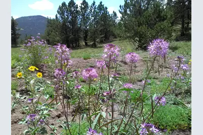 Tbd Post Road, Guffey, CO 80820 - Photo 23