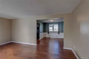 7053 S Johnson St, Littleton, CO 80128 - Photo 9