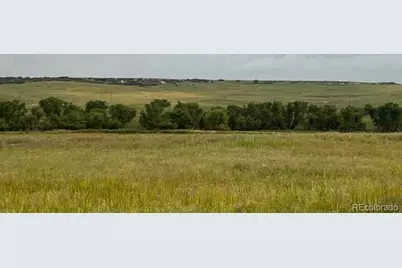 Tbd S State Highway 83 - 140 Acres, Franktown, CO 80116 - Photo 7