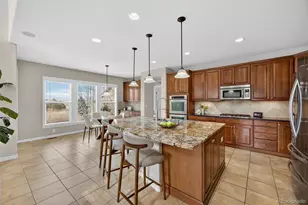 10437 Willowwisp Way, Highlands Ranch, CO 80126 - Photo 13