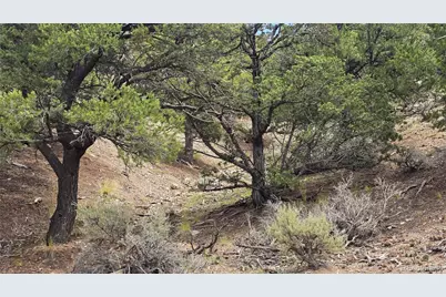 Lot 4024 Heritage Road, Fort Garland, CO 81133 - Photo 7