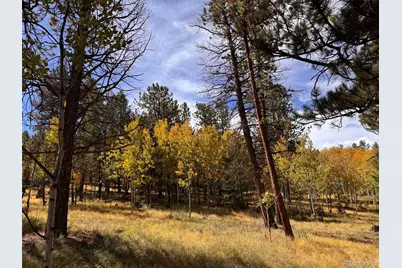 Lot 20 Echo Lake Drive, Florissant, CO 80827 - Photo 11