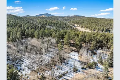 Lot 20 Echo Lake Drive, Florissant, CO 80827 - Photo 1