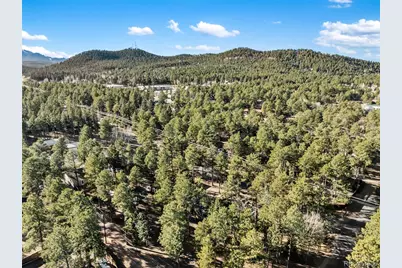 Lot 20 Echo Lake Drive, Florissant, CO 80827 - Photo 21