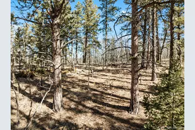 Lot 20 Echo Lake Drive, Florissant, CO 80827 - Photo 9