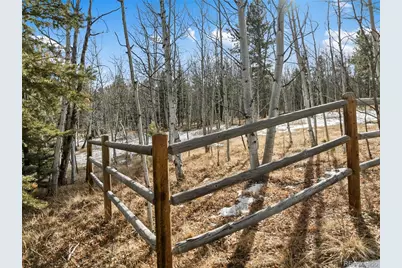 Lot 20 Echo Lake Drive, Florissant, CO 80827 - Photo 5