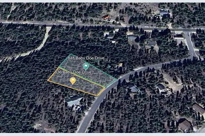 836 Baby Doe Drive, Leadville, CO 80461 - Photo 7