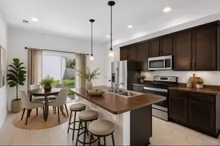 19133 E 54th Pl, Denver, CO 80249 - Photo 9