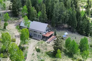 1113 Spring St, Jasper, CO 81144 - Photo 3