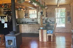 1113 Spring St, Jasper, CO 81144 - Photo 19