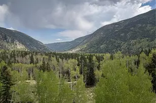 1113 Spring St, Jasper, CO 81144 - Photo 15