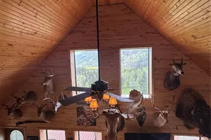 1113 Spring St, Jasper, CO 81144 - Photo 11