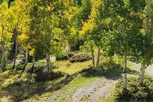 1113 Spring St, Jasper, CO 81144 - Photo 5