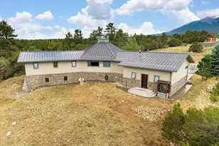 13030 Co Rd 261D, Nathrop, CO 81236 - Photo 43