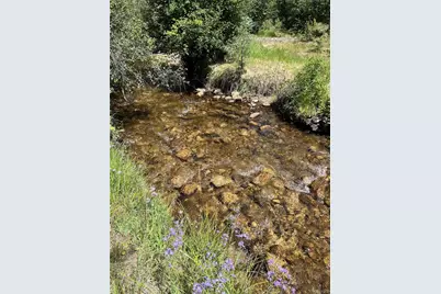 13030 County Road 261D, Nathrop, CO 81236 - Photo 5