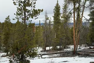 124 Lodgepole Dr, Twin Lakes, CO 81251 - Photo 1