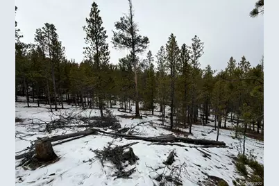 124 Lodgepole Drive, Twin Lakes, CO 81251 - Photo 9