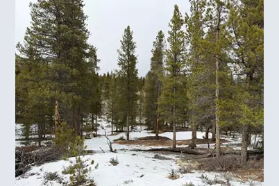 124 Lodgepole Drive, Twin Lakes, CO 81251 - Photo 5