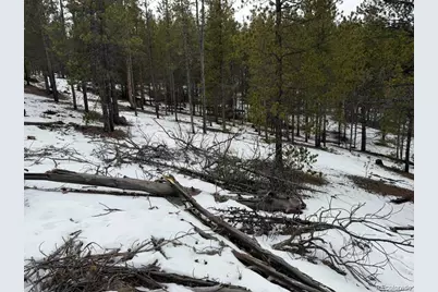 124 Lodgepole Drive, Twin Lakes, CO 81251 - Photo 3