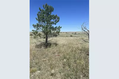 27933 Private Road 139, Simla, CO 80835 - Photo 5