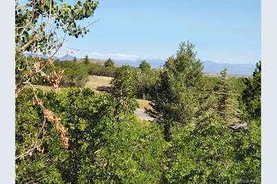 2941 Castle Butte Drive, Castle Rock, CO 80109 - Photo 39