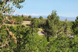 2941 Castle Butte Dr, Castle Rock, CO 80109 - Photo 39