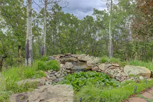 2941 Castle Butte Dr, Castle Rock, CO 80109 - Photo 29