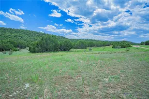 254 Sunset Ct, Walsenburg, CO 81089 - Photo 43