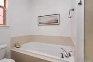 2666 Emporia St, Denver, CO 80238 - Photo 29