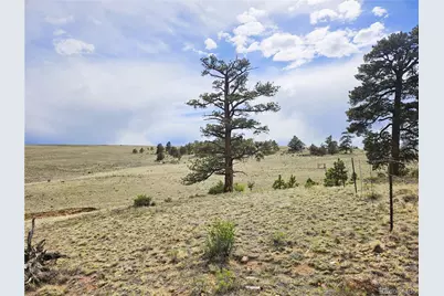 Pcs#24131 Chato Road, Hartsel, CO 80449 - Photo 5