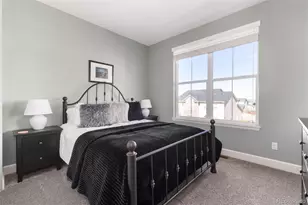 3112 Starry Night Loop, Castle Rock, CO 80109 - Photo 33
